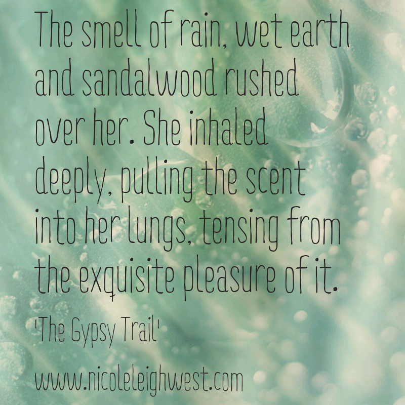 Behind the Scenes of The Gypsy Trail - a Novel by Nicole Leigh West